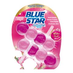 WC-Stein Gel Frühlingsfrische 242g von Blue Star