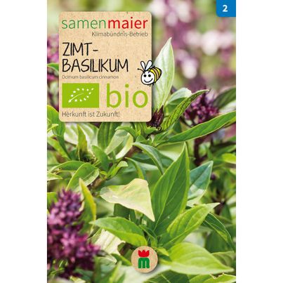 Bio Zimtbasilikum - 0.4 g Saatgut