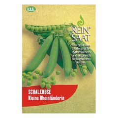 Bio Erbse Kleine Rheinländerin - 5er Vorteilspack von Reinsaat
