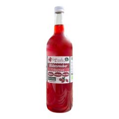 Bio Blütenzauber Erdbeertraum 700ml - 6er Vorteilspack von Besonder