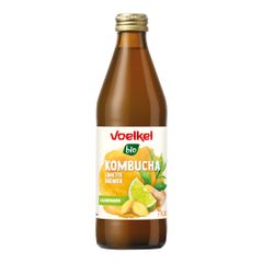Bio Kombucha Limette Ingwer MW 330ml - 10er Vorteilspack von Voelkel