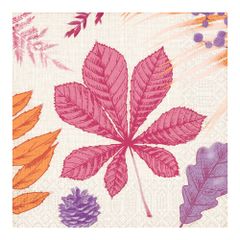 Servietten Autumn 33x33 50ct von Duni