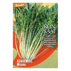 Bio Asiasalat Mizuna Samen - 5er Vorteilspack von Reinsaat