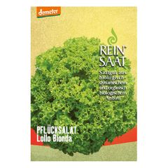 Bio Salat Lollo Bionda - 5er Vorteilspack von Reinsaat
