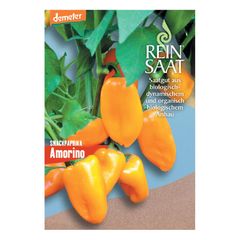 Bio Paprika 04.25 Amorino Samen - 5er Vorteilspack von Reinsaat