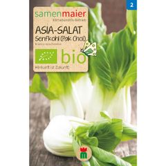 Bio Asia Salat Senfkohl - Pak Choi - Saatgut für zirka 70 Pflanzen