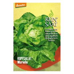 Bio Kopfsalat Murielle Samen - 5er Vorteilspack von Reinsaat