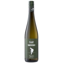 Bio Grüner Veltliner Poysdorf 2025 1500ml von Taubenschuss