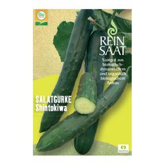 Bio Salatgurke Shintokiwa - 5er Vorteilspack von Reinsaat