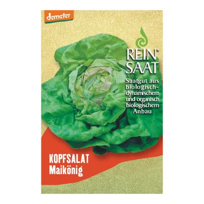 Bio Kopfsalat Maikönig Saatgut - 1 Beutel - 5er Vorteilspack von Reinsaat