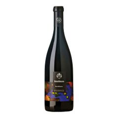 Bio Blaufränkisch hochberc 2021 750ml von Gesellmann