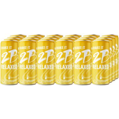 2B RELAXED Drink 250ml 24er Pack - Natürlicher Entspannungsdrink - Mehrfrucht-Funktionsgetränk mit Süßungsmittel und 57% Fruchtanteil - ohne Zuckerzusatz