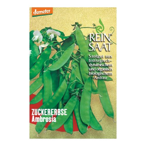 Bio Zuckererbse Ambrosia Saatgut - 1 Beutel - 5er Vorteilspack von Reinsaat