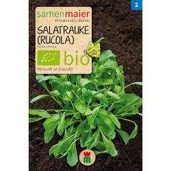 Bio Salatrauke - Rucola - 2 g Saatgut