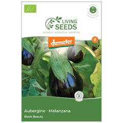 Bio Aubergine Black Beauty 3.75g Saatgut von Living Seeds