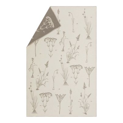 Light Cotton Throw Herbarium Color Offwhite 145x220cm by David Fussenegger