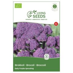 Bio Broccoli Early Purple Sprouting 4.1g Saatgut von Living Seeds