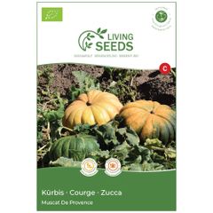 Bio Kürbis Muscat de Provence 6.57g Saatgut von Living Seeds