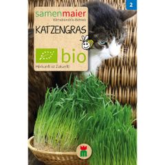 Bio Katzengras - 3.5 g Saatgut
