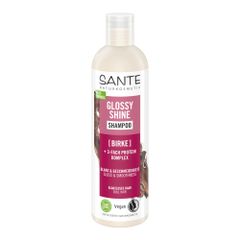 Organic Glossy Shine Shampoo 250ml - 4-piece value pack from Sante Naturkosmetik