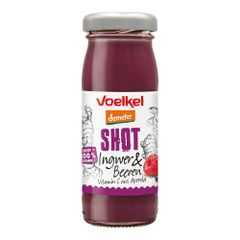 Bio Shot Ingwer & Beeren EW 95ml - 8er Vorteilspack von Voelkel