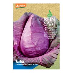 Bio Rotes Spitzkraut Kalibos - 5er Vorteilspack von Reinsaat
