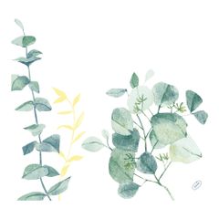 Dunisoft Servietten 40x40 60ct von Duni