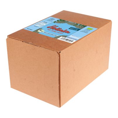 Bio Holunderblüte Sirup Bag in Box 5000ml von Hollala