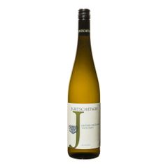 Bio Grüner Veltliner Terrassen 24 750ml von Jurtschitsch