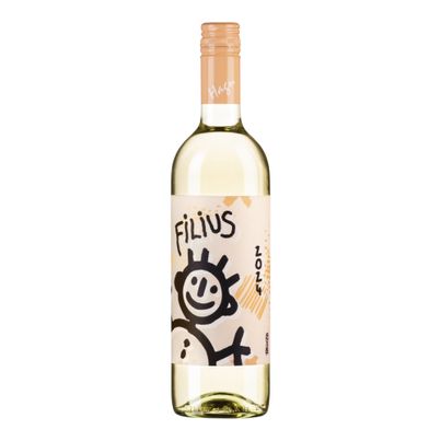 Grüner Veltliner Filius 2024 1500ml von Hagn