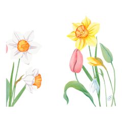 Servietten Spr.Melo.4lg. 40x40 50ct von Duni