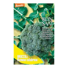 Bio Broccoli Ramoso calabrece Saatgut - 1 Beutel - 5er Vorteilspack von Reinsaat