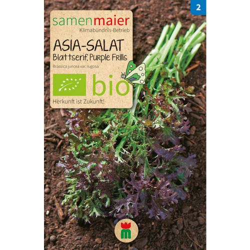 Bio Asia Salat Blattsenf Purple Frills - Saatgut für zirka 70 Pflanzen