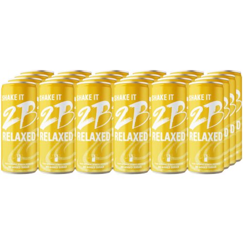 2B RELAXED Drink 250ml 24er Pack - Natürlicher Entspannungsdrink - Mehrfrucht-Funktionsgetränk mit Süßungsmittel und 57% Fruchtanteil - ohne Zuckerzusatz