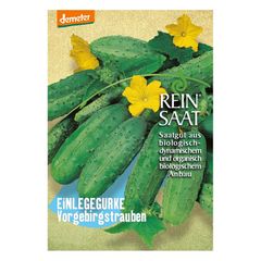 Bio Einlegegurke Vorgebirgstraube - 5er Vorteilspack von Reinsaat
