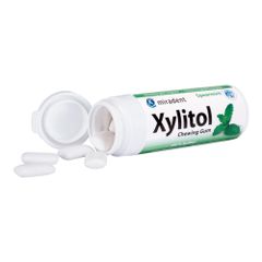 Bio Xylitol Kaugummi Spearmint 30g - 12er Vorteilspack von Miradent