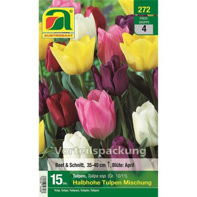 Blumenzwiebel Herbst 4  von Austrosaat