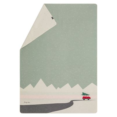 Flannel Blanket Car Color Sage Green 140x200cm by David Fussenegger