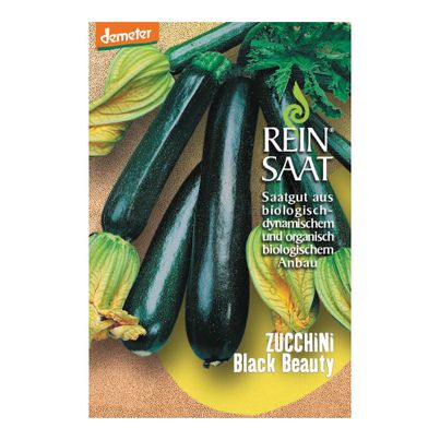 Bio Zucchini Black Beauty Saatgut - 1 Beutel - 5er Vorteilspack von Reinsaat