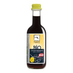 Bio Johannisbeernektar MW 250ml - 24er Vorteilspack von Hasenfit