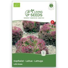 Bio Kopfsalat Lollo Rossa 4.1g Saatgut von Living Seeds