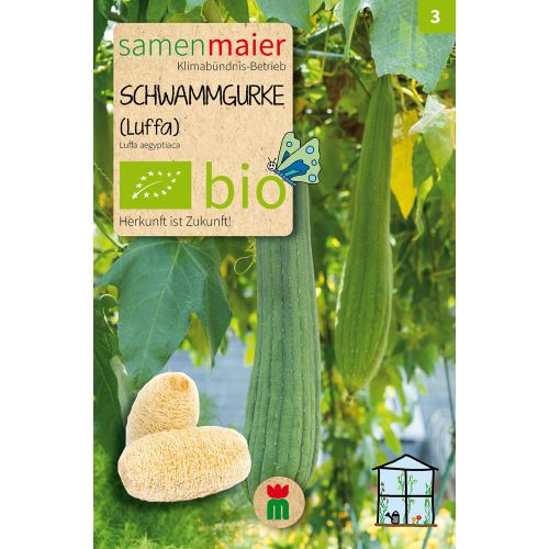 Bio Schwammgurke - Saatgut für zirka 5 Pflanzen