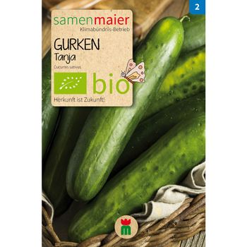 Bio Gurke Tanja Freiland Salatgurke - Saatgut für zirka 10 Pflanzen