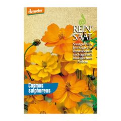 Bio Cosmos orange Saatgut - 1 Beutel - 5er Vorteilspack von Reinsaat