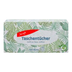 Taschentücher Box 4lagig 100ct von Jeden Tag
