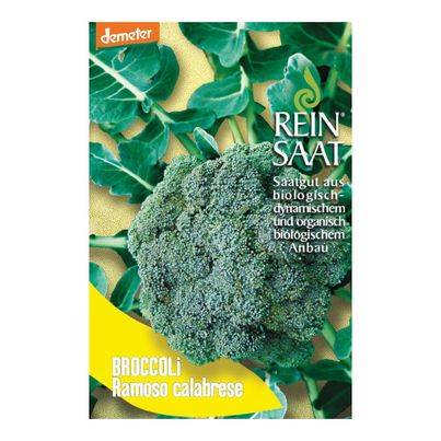 Bio Broccoli Ramoso calabrece Saatgut - 1 Beutel - 5er Vorteilspack von Reinsaat