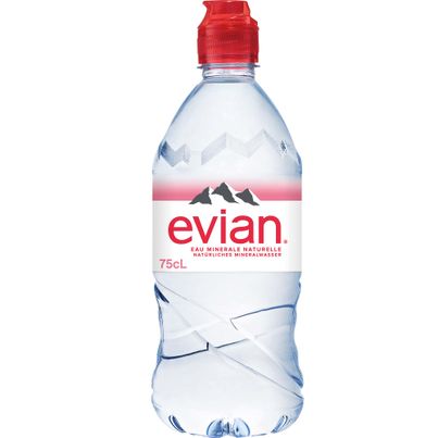 Evian Wasser still - PET 750ml von Evian