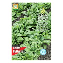 Bio Spinat Butterflay Samen - 5er Vorteilspack von Reinsaat