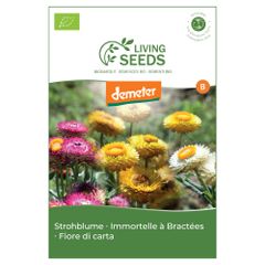 Bio Strohblume 3.9g Saatgut von Living Seeds