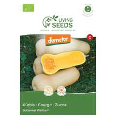 Bio Kürbis Butternut Waltham 6.57g Saatgut von Living Seeds